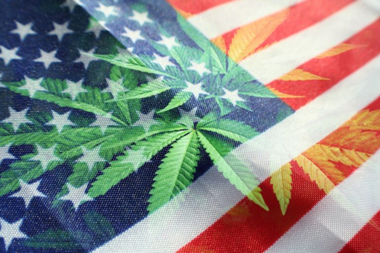 pot leaf in front of american flag