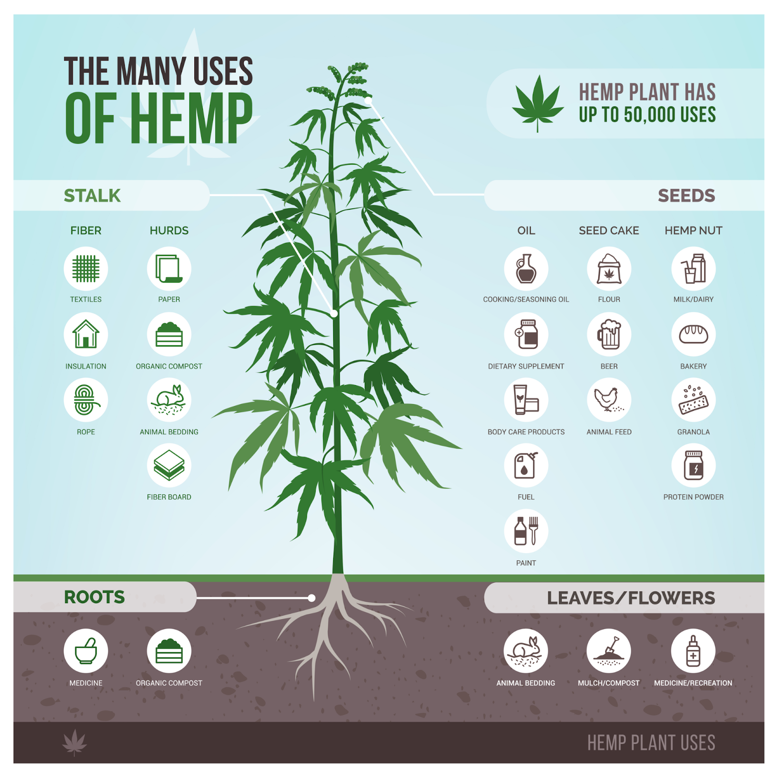 Hemp vs. Marijuana Hemp Usages