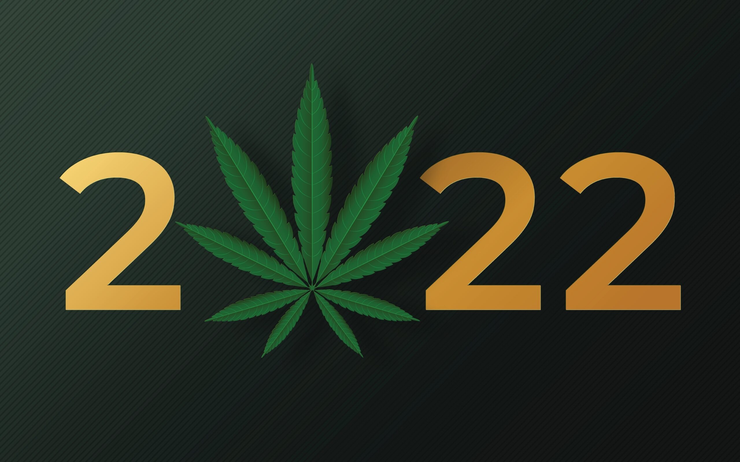 Cannabis Year in Review 2022 Highlights