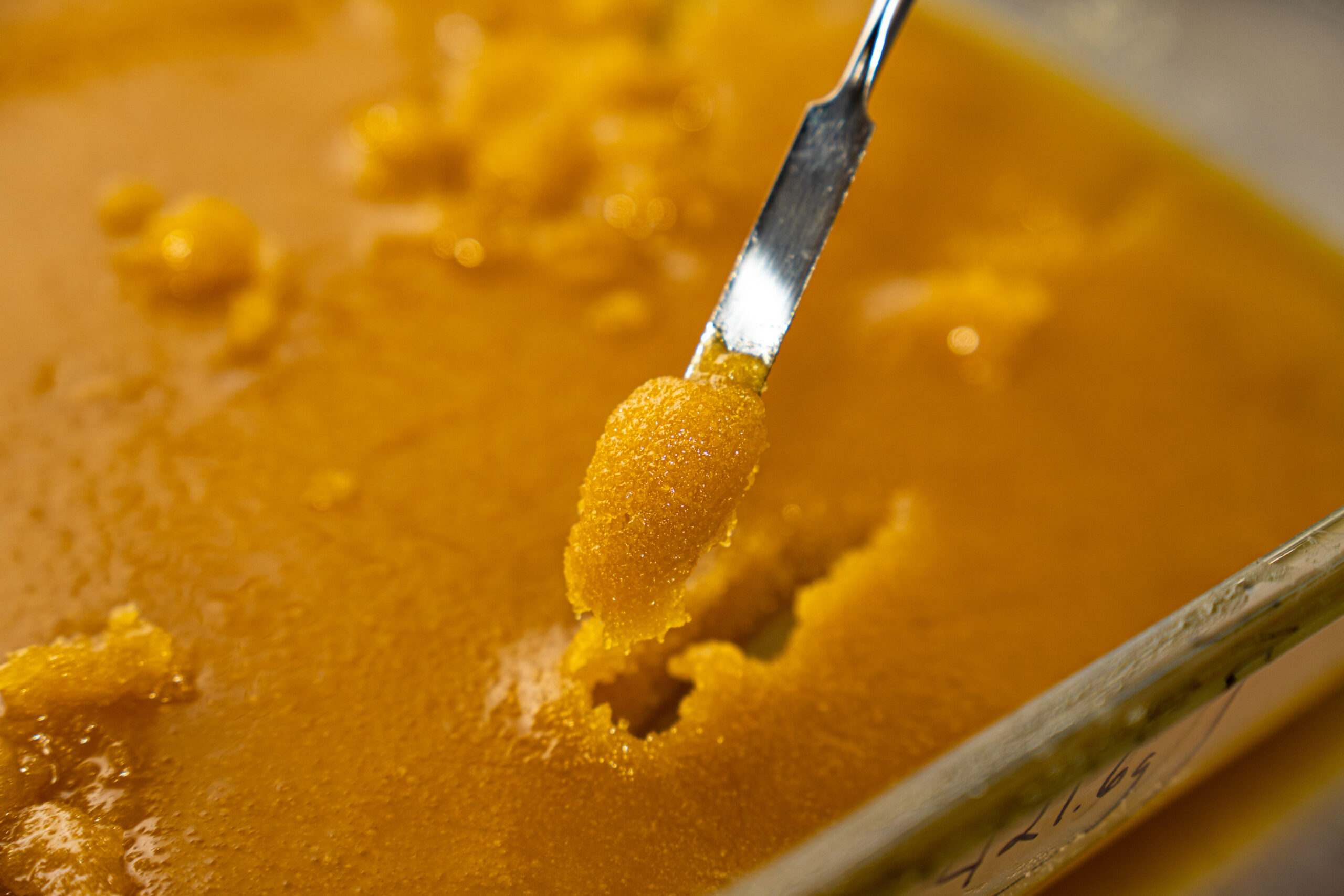 Dabs 101: Guide to Cannabis Concentrates