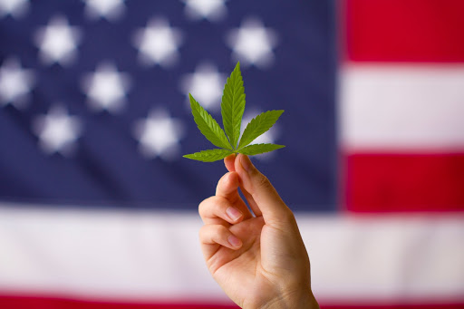 Myths about Cannabis - Las Vegas Dispensary