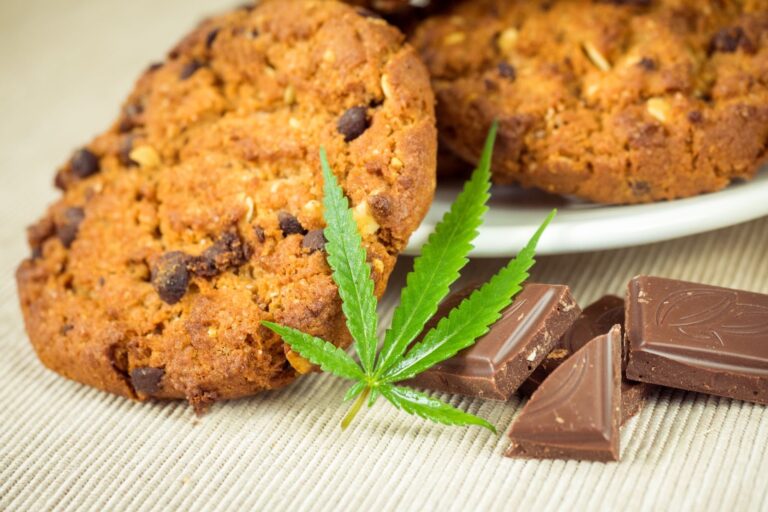 Smoking vs. Edibles Whats Right for You|Smoking vs. Edibles Smoking Marijuana|Smoking vs. Edibles Digesting Marijuana