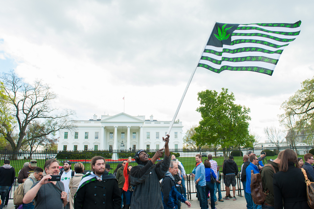 Will the U.S. Legalize Marijuana in 2022?