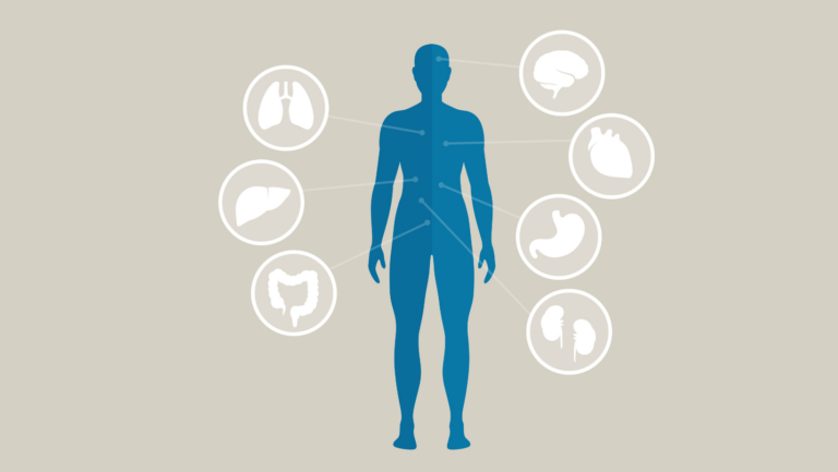 Introduction to the Endocannabinoid System
