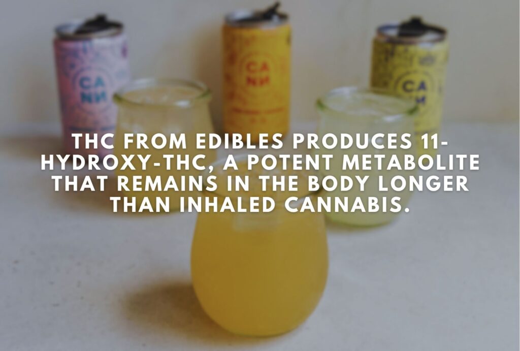 Why Do Edibles Stay Longer in System
