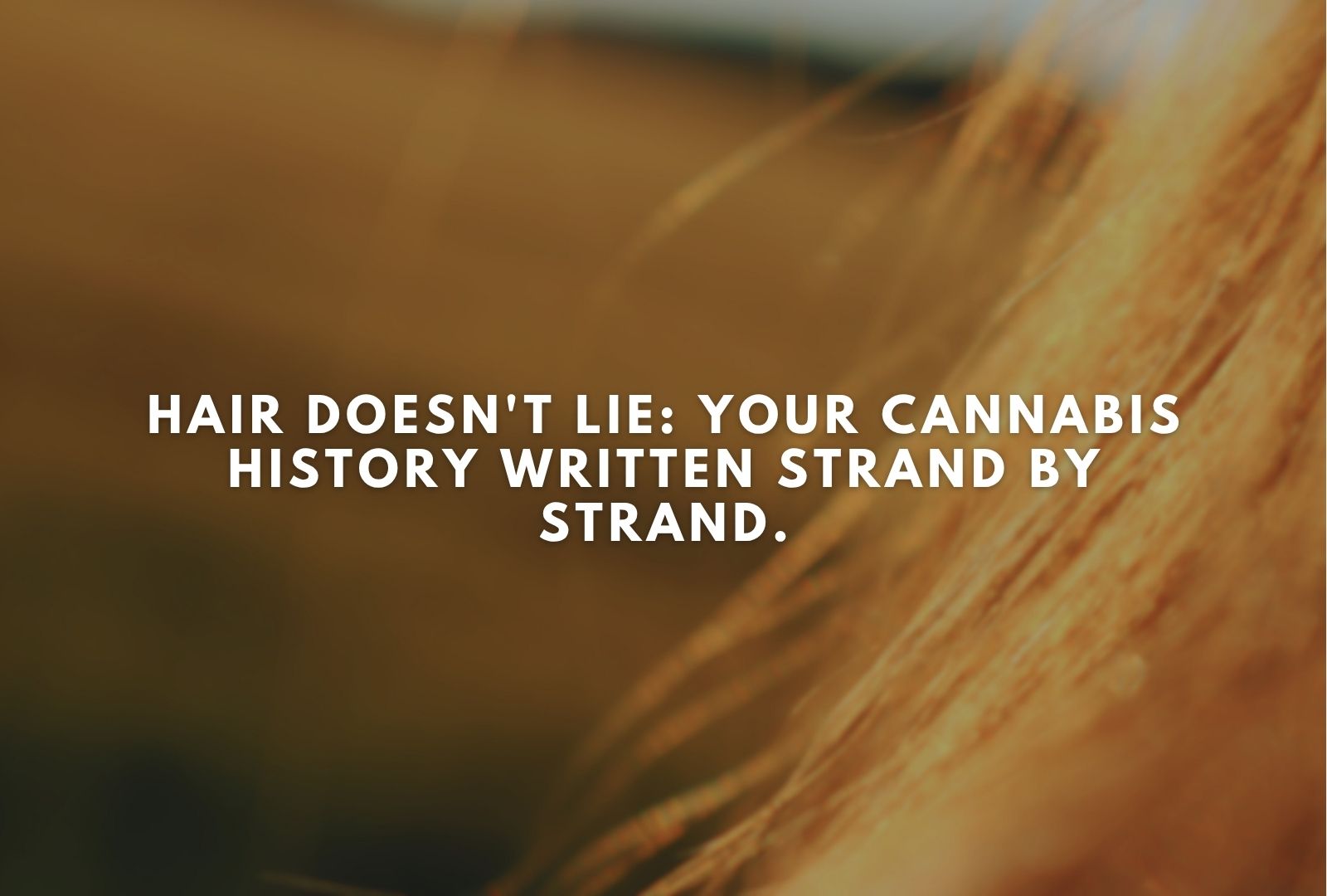 How Long Does THC Stay in Your Hair?
