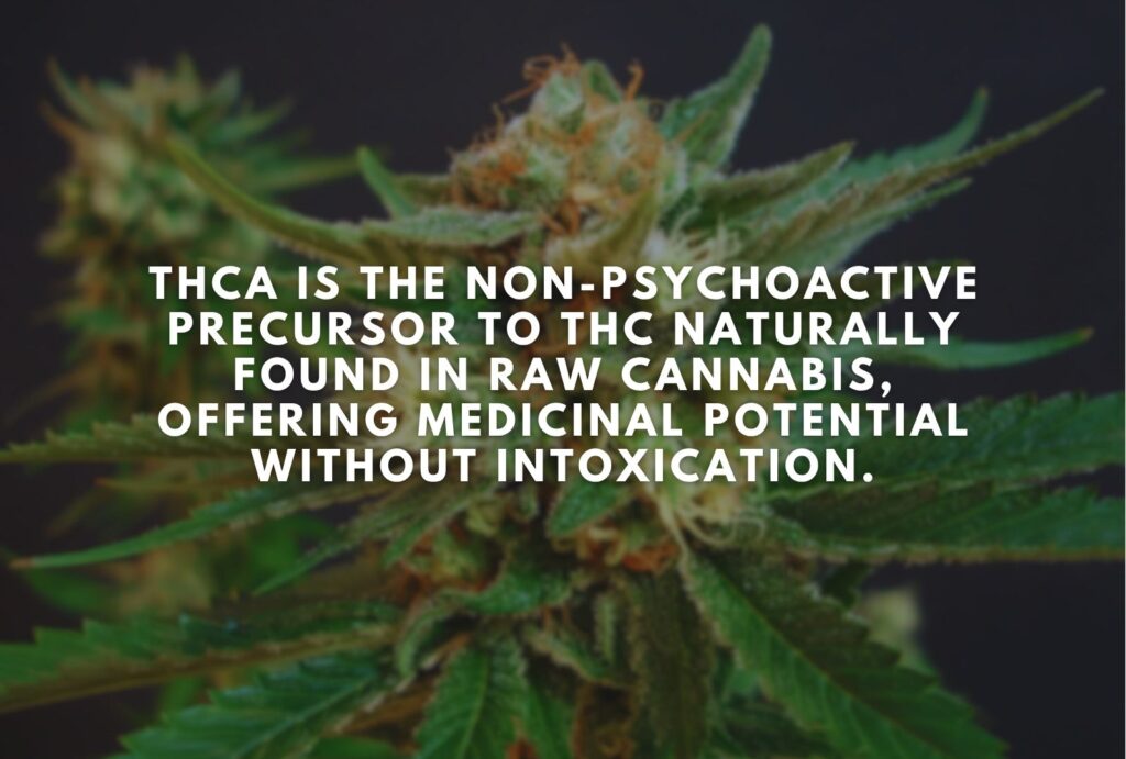What Is THCA?