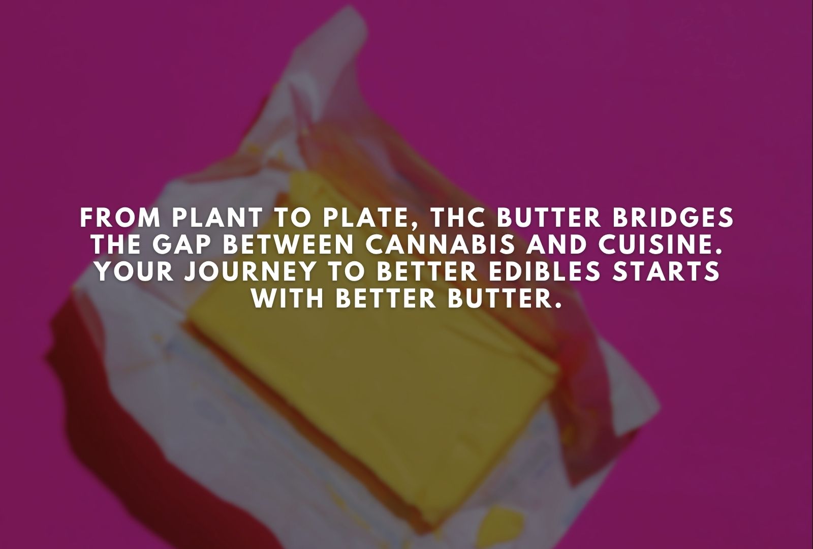 Can You Make THC Butter With Trim or Stems?