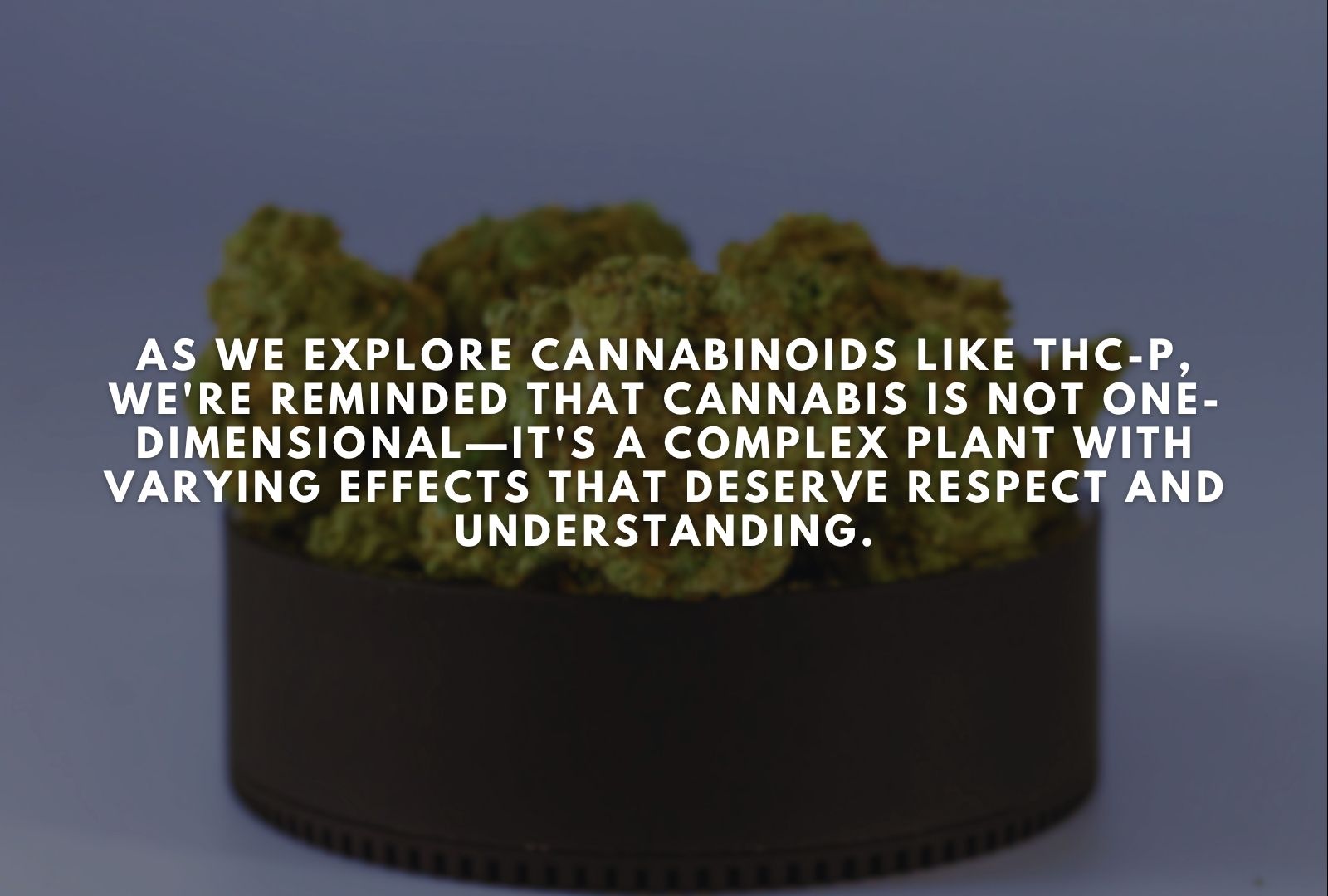 How Long Does THC-P Stay in Your System?
