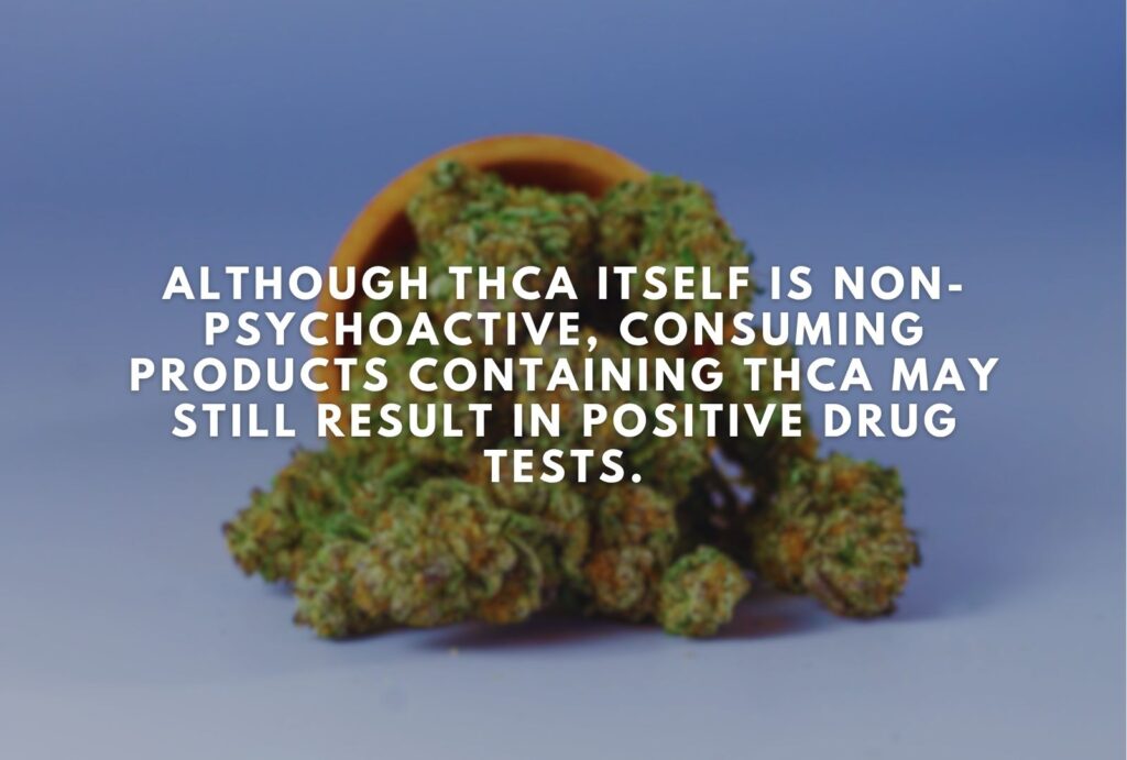 Will THCA Show Up on a Drug Test?