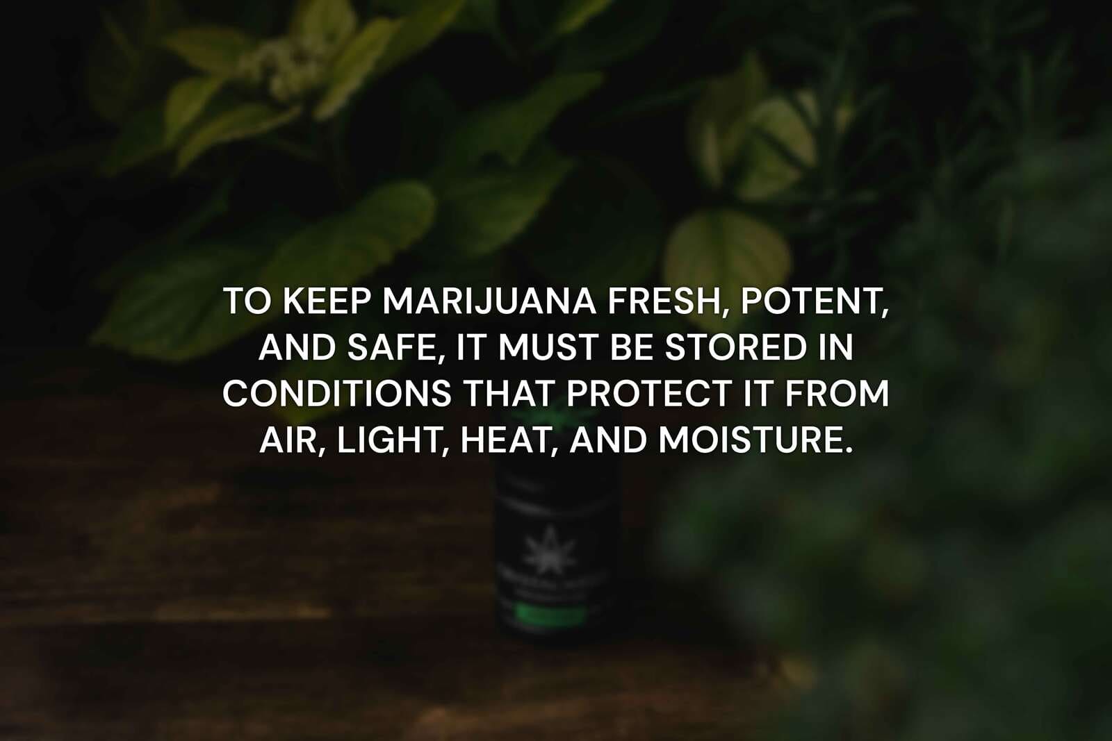 storing marijuana to keep it fresh