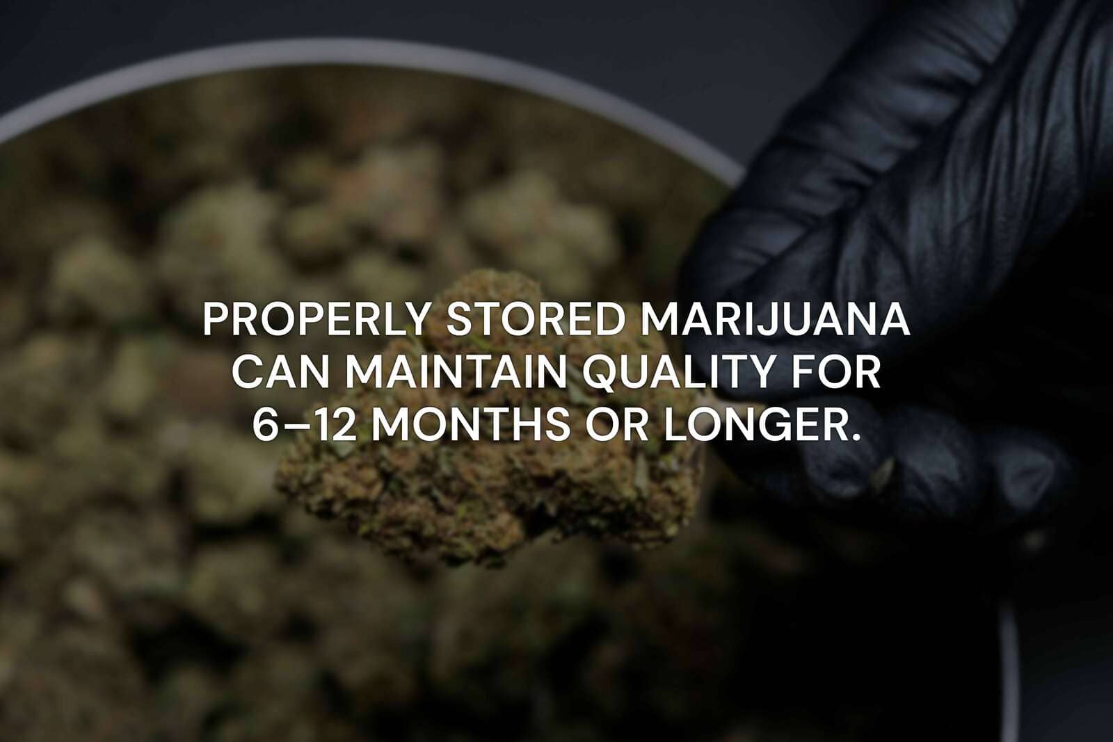 bud of marijuana