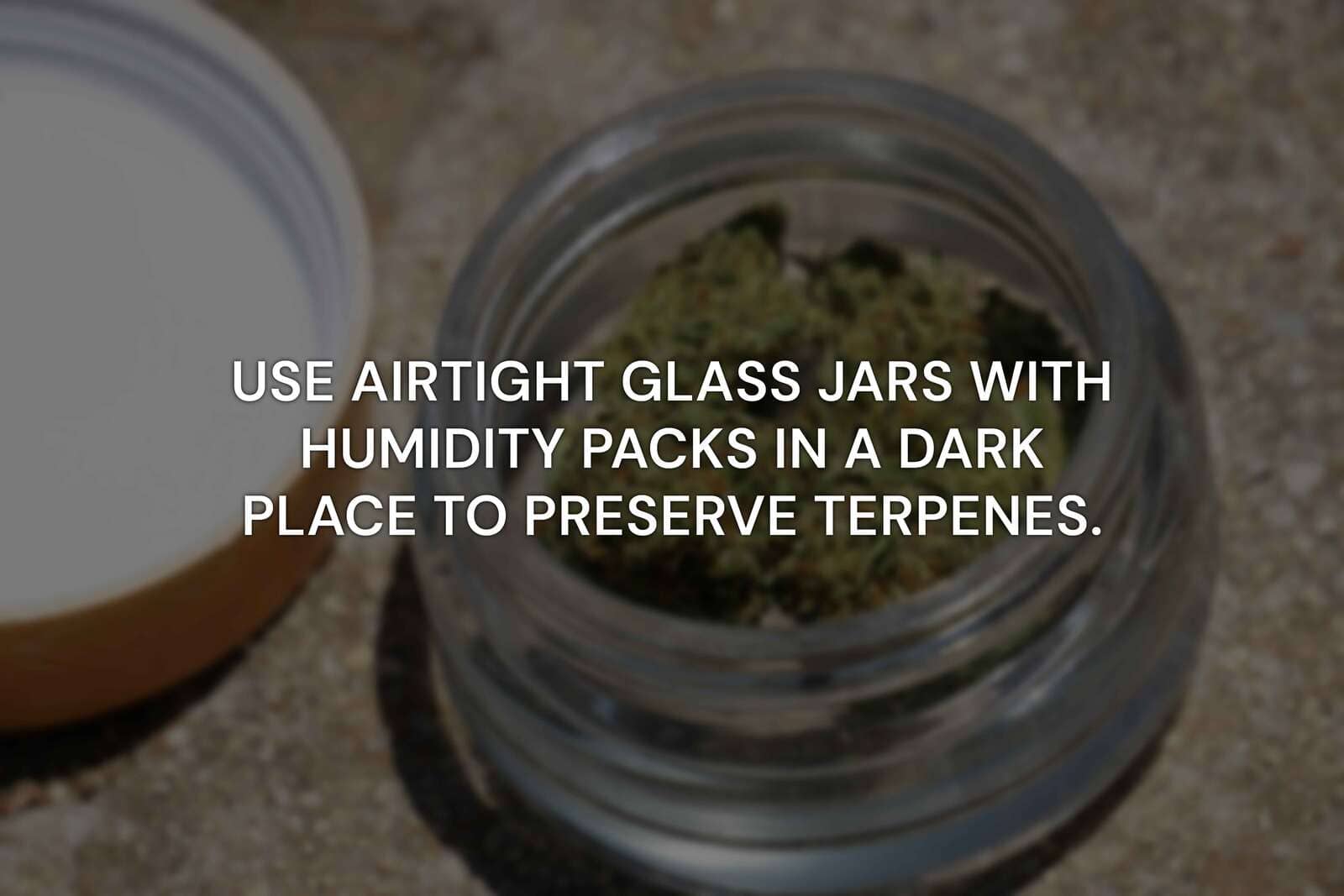 store cannabis and preserve terpenes