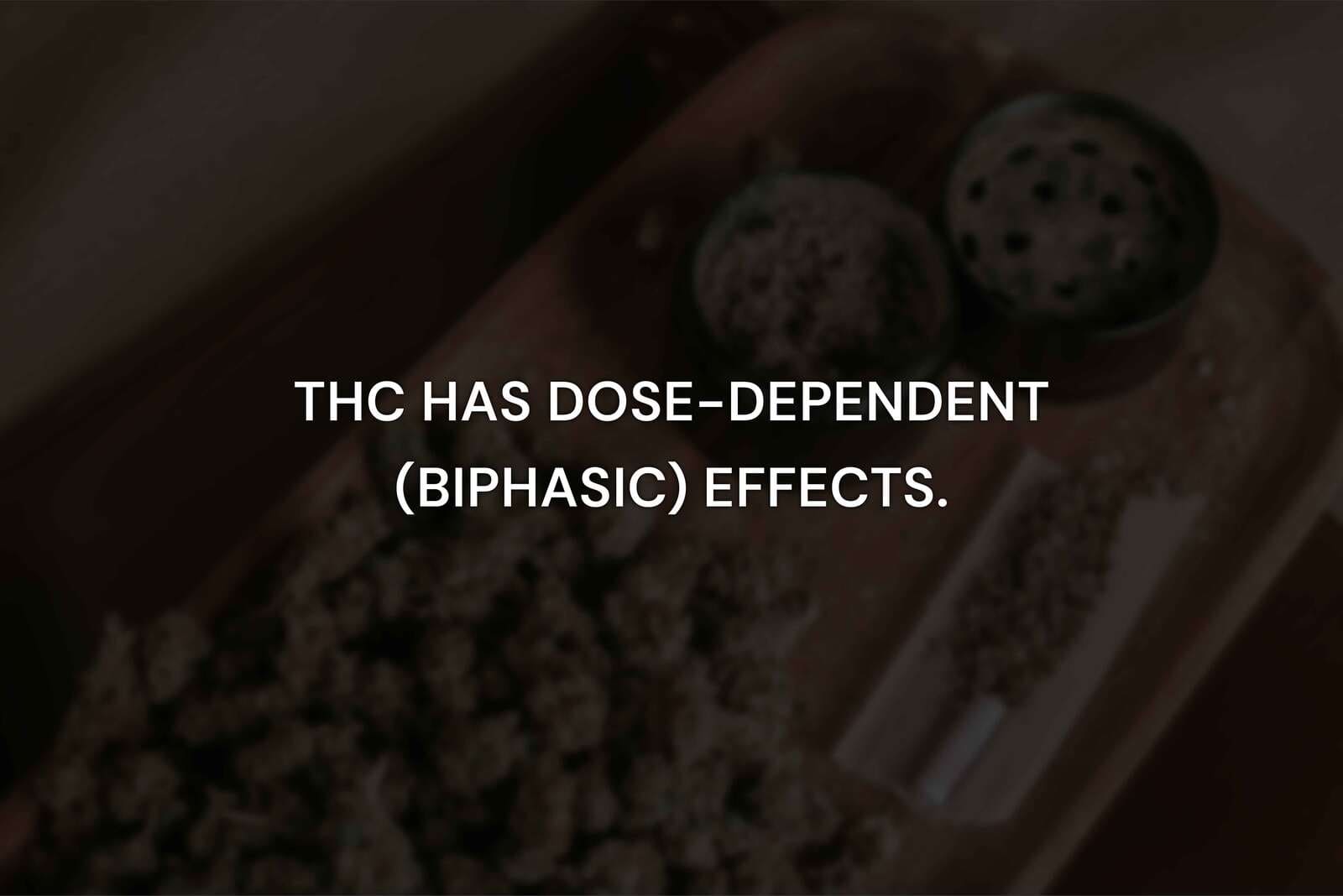 How Does THC Influence These Effects?