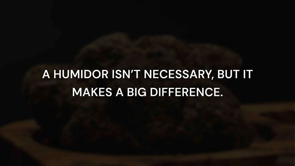 When a Humidor Becomes Worth It