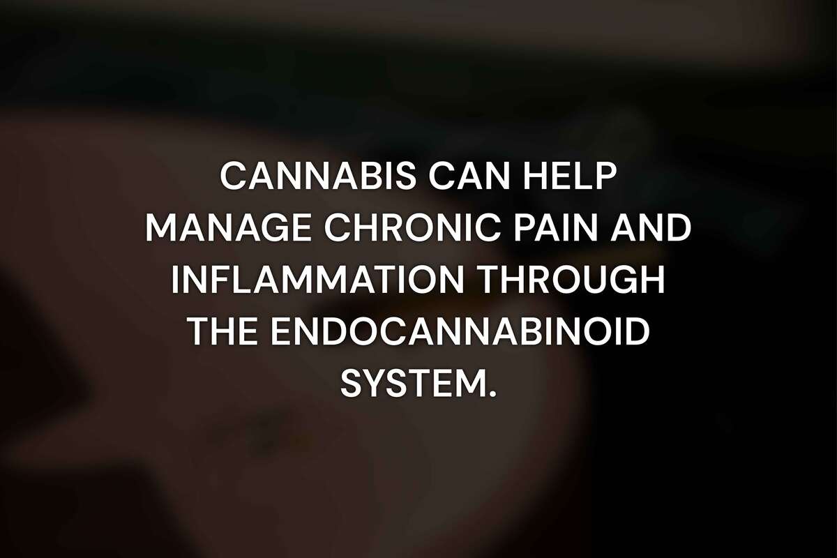 How Cannabis Affects Pain and Inflammation
