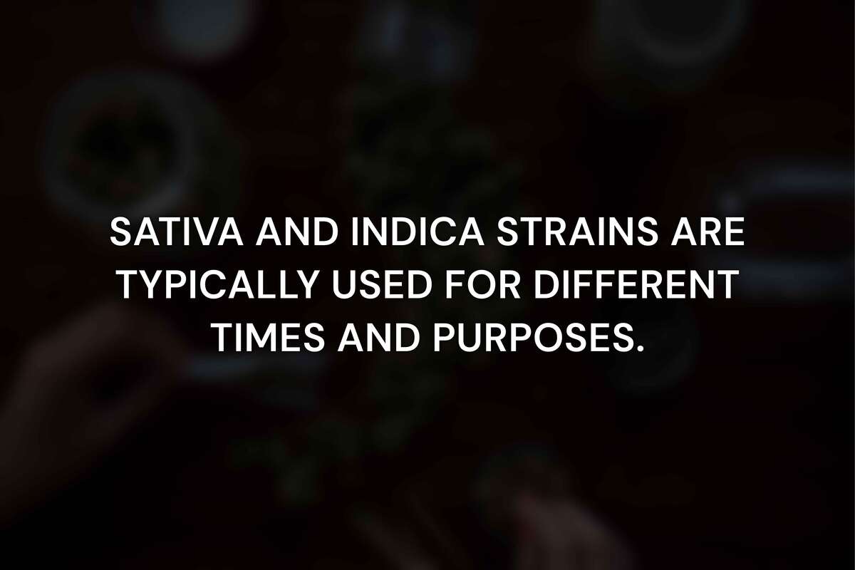 What Is the Difference Between Sativa, Indica, and Hybrid Strains?