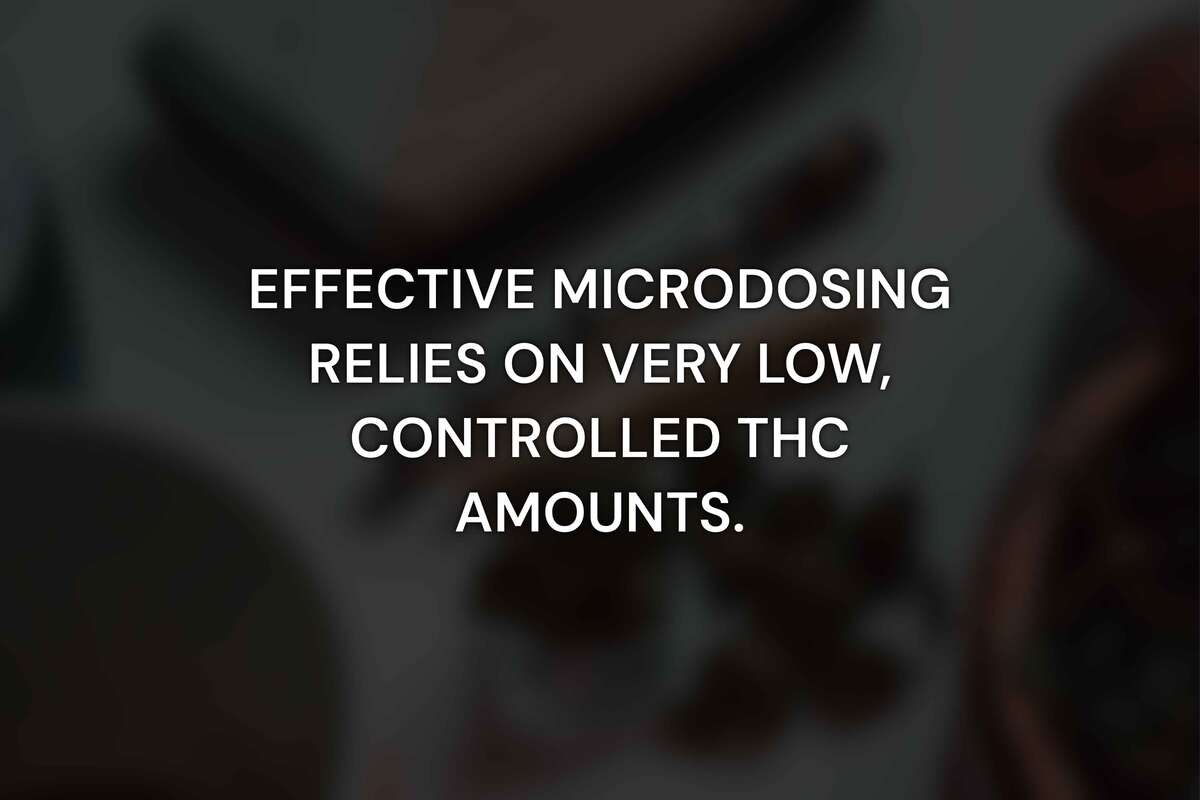 What Does Microdosing Mean?