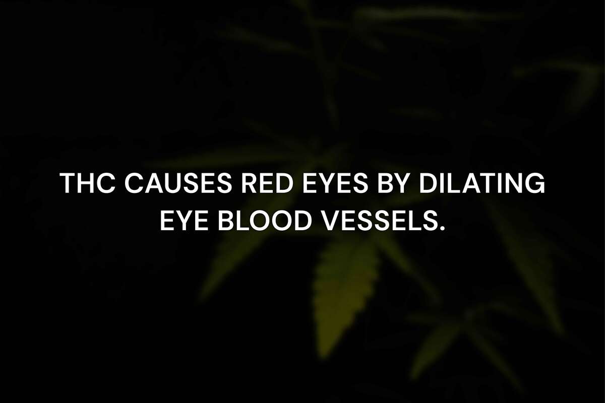 Why Does Weed Make Your Eyes Red and How Can You Reduce It?