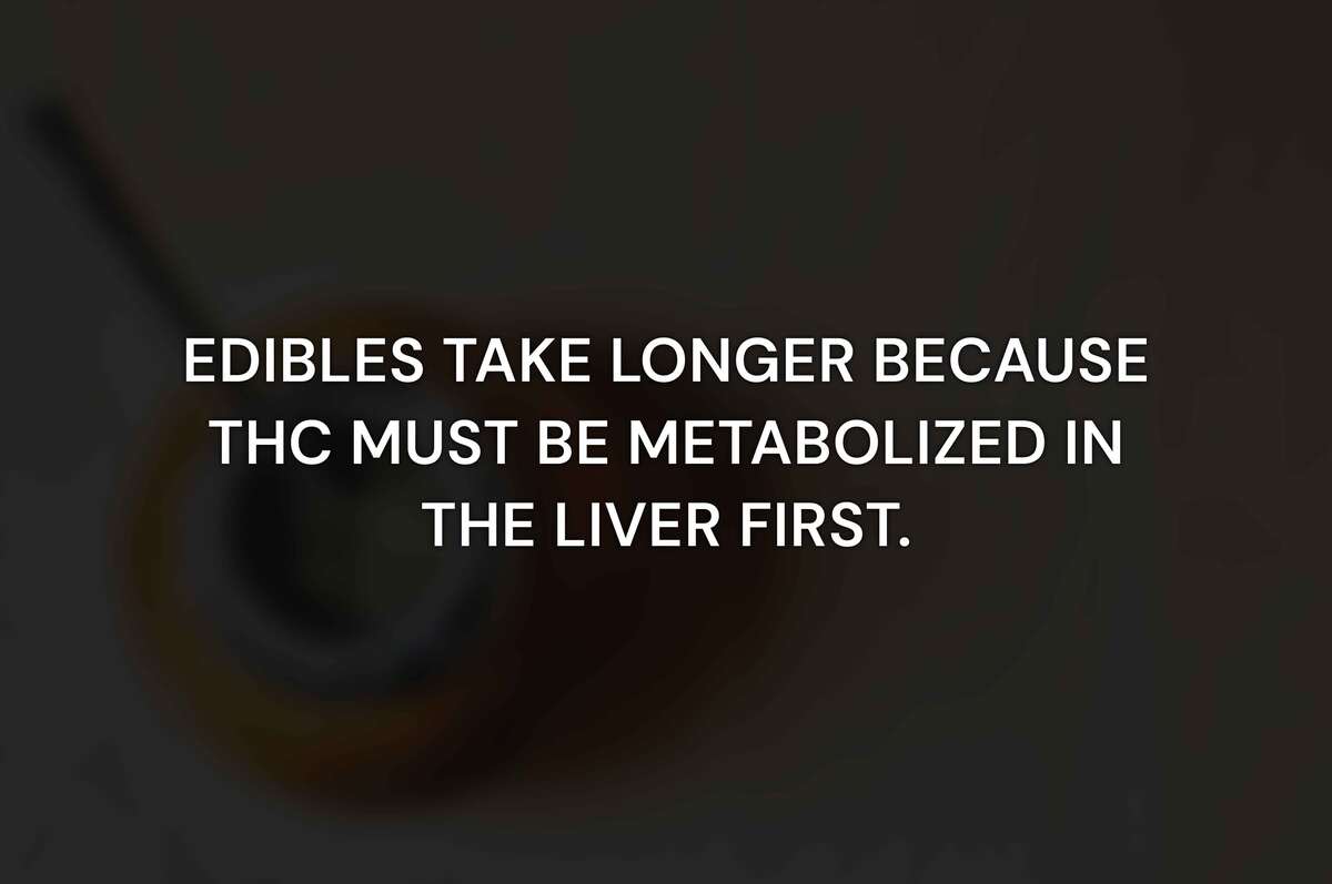 What Happens in Your Body After You Eat an Edible