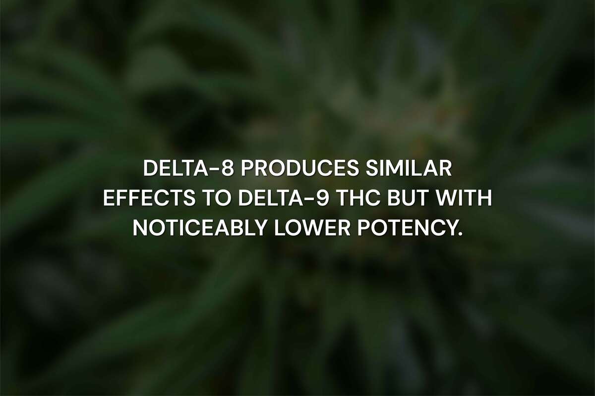 Delta-8 vs. Delta-9: What's the Actual Difference?