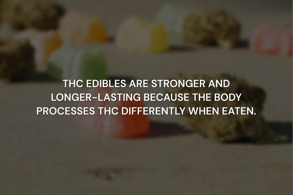 What Are THC Edibles and How Do They Work?