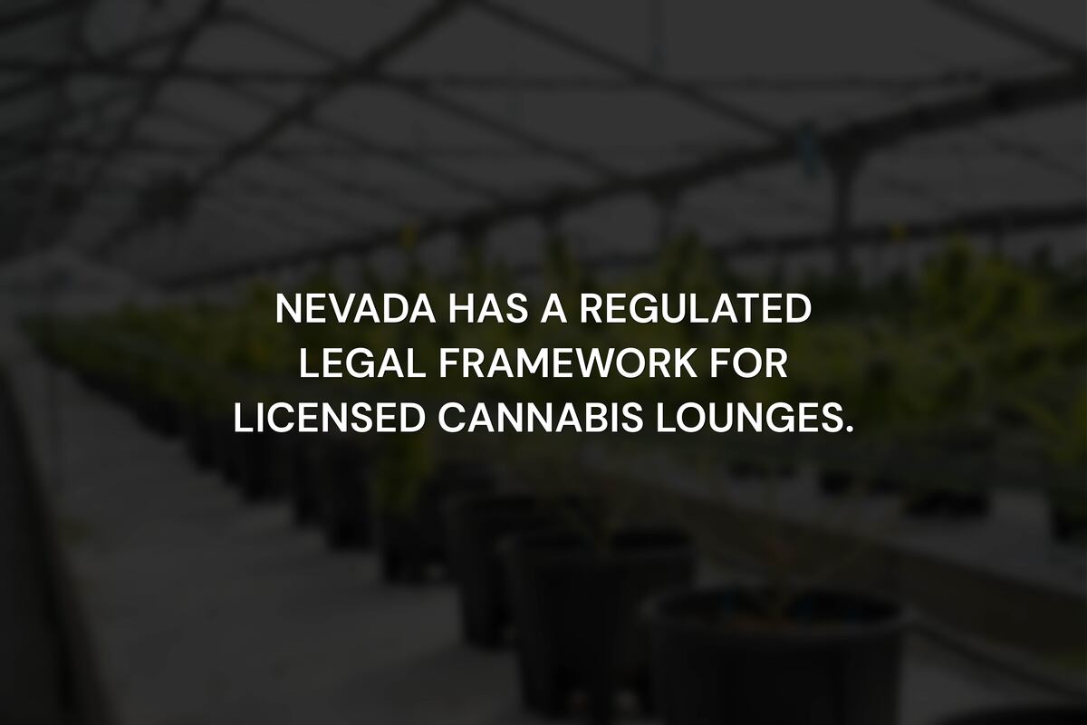 Are Cannabis Consumption Lounges Legal in Nevada?